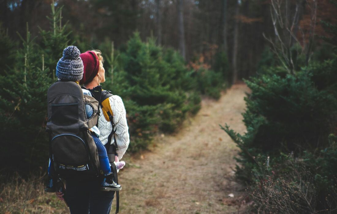 Wandern in den Harburger Bergen